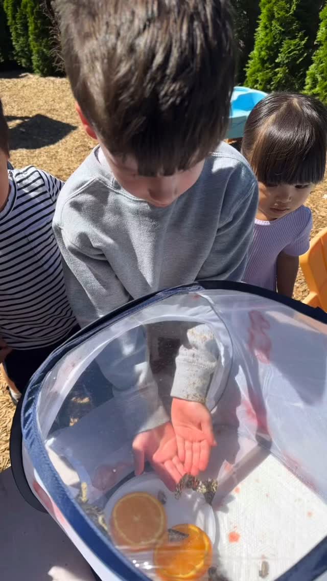 Butterfly release day